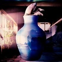 Meu projeto do curso: Segredos da fotomontagem e do retoque criativo. Photograph, Photograph, Post-production, VFX, Photo Retouching, Fine-Art Photograph, Photographic Composition, and Photomontage project by Paulo Campaniço - 12.21.2021