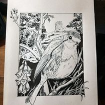 My project in Dip Pen and Ink Illustration: Capturing The Natural World course. Sketching, Drawing, Artistic Drawing, Sketchbook, Ink Illustration, and Naturalistic Illustration project by eluned_eleven - 01.05.2022