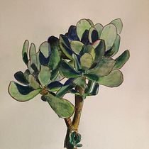 My project in Botanical Sketchbooking: A Meditative Approach course. Ilustração tradicional, Esboçado, Desenho, Pintura em aquarela, Ilustração botânica, e Sketchbook projeto de Gina Jonson - 06.01.2022