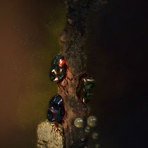 My project in Realistic Painting and Illustration with Procreate course. Ilustração tradicional, Artes plásticas, Desenho, Ilustração digital, Desenho realista, e Pintura digital projeto de Josef Angelo Hernandez - 01.01.2022