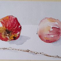 Il mio progetto del corso: Illustrare la natura: esplorazione creativa. Traditional illustration, Painting, Drawing, Watercolor Painting, Ink Illustration, and Naturalistic Illustration project by margherita caccetta - 01.06.2022