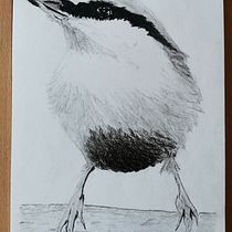 Mein Kursprojekt: Illustriere Vögel mit expressiven Aquarelltechniken. Traditional illustration, Watercolor Painting, Realistic Drawing, and Naturalistic Illustration project by Sabine - 01.06.2022