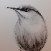 Mon projet du cours : Techniques artistiques d'aquarelle pour illustrer les oiseaux. Traditional illustration, Watercolor Painting, Realistic Drawing, and Naturalistic Illustration project by valerie oberrieder - 01.02.2022