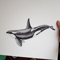 My project in Naturalist Illustration Techniques: Whales in Watercolor course. Un progetto di Illustrazione tradizionale, Design di poster , Illustrazione digitale e Manga di yuliya_carvalho - 07.01.2022