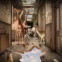 Madagascar II. Photograph, Photograph, Post-production, VFX, Photo Retouching, Fine-Art Photograph, Photographic Composition, and Photomontage project by josepostman64 - 01.07.2022