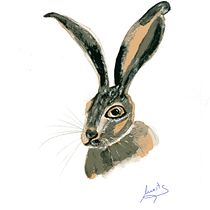 Mi Proyecto del curso: Técnicas experimentales de acuarela para principiantes. Un progetto di Illustrazione tradizionale, Belle arti, Pittura ad acquerello e Illustrazione naturalistica di martacabrera62 - 07.01.2022