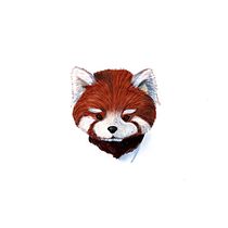 Il mio progetto del corso: Illustrazione naturalistica di animali con Procreate. Un proyecto de Ilustración tradicional, Ilustración digital, Dibujo realista e Ilustración naturalista				 de Sara Tomei - 08.01.2022