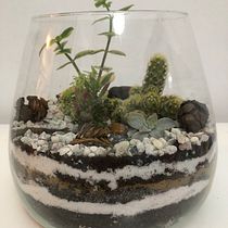 Mi Proyecto del curso: Arte vegetal: crea tu propio terrario abierto. Interior Design, L, scape Architecture, Decoration, DIY, Floral, and Plant Design project by Natalia Hernández - 01.18.2022