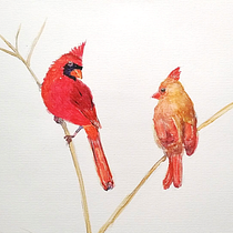 Mon projet du cours : Techniques artistiques d'aquarelle pour illustrer les oiseaux. Traditional illustration, Watercolor Painting, Realistic Drawing, and Naturalistic Illustration project by Aurelie Boisbunon - 01.08.2022