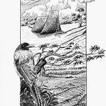 Mi Proyecto del curso: Ilustración con tinta y plumilla: captura el mundo natural. Sketching, Drawing, Artistic Drawing, Sketchbook, Ink Illustration, and Naturalistic Illustration project by Miguel - 01.08.2022