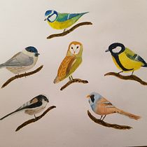 My project in Artistic Watercolor Techniques for Illustrating Birds course. Traditional illustration, Watercolor Painting, Realistic Drawing, and Naturalistic Illustration project by crysella - 01.06.2022