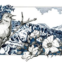 My project in Dip Pen and Ink Illustration: Capturing The Natural World course "Nightingale on Elba island". Sketching, Drawing, Artistic Drawing, Sketchbook, Ink Illustration, and Naturalistic Illustration project by Richter Jutta - 01.08.2022