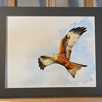My project in Artistic Watercolor Techniques for Illustrating Birds course. Traditional illustration, Watercolor Painting, Realistic Drawing, and Naturalistic Illustration project by Tina Cooper - 01.09.2022