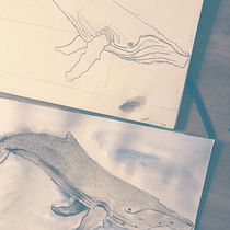 My project in Naturalist Illustration Techniques: Whales in Watercolor course. Un progetto di Illustrazione tradizionale, Design di poster , Illustrazione digitale e Manga di Alexa - 09.01.2022