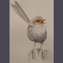 My project in Artistic Watercolor Techniques for Illustrating Birds course. Traditional illustration, Watercolor Painting, Realistic Drawing, and Naturalistic Illustration project by anne_babington - 01.10.2022