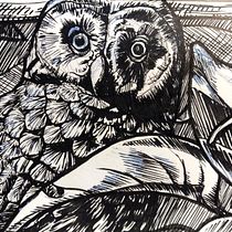 My project in Daily Sketching for Creative Inspiration course. Traditional illustration, Sketching, Creativit, Drawing, and Sketchbook project by Chloe Farrant - 01.03.2022