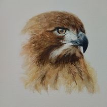 Il mio progetto del corso: Acquerelli naturalistici espressivi e con personalità. Traditional illustration, Watercolor Painting, and Naturalistic Illustration project by Barbara Cera - 01.06.2022