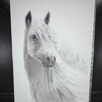 My project in Expressive Animal Portraits in Watercolor course. Un projet de Illustration traditionnelle, Aquarelle, Dessin réaliste et Illustration naturaliste de Katherine Clough - 10.01.2022