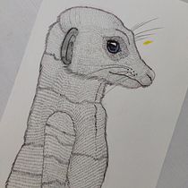 De Principiante a Súper-Dibujante. Design, Traditional illustration, Pencil Drawing, and Drawing project by Juan Pablo Fernández Medina - 01.10.2022