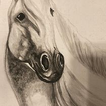 My project in Expressive Animal Portraits in Watercolor course. Un projet de Illustration traditionnelle, Aquarelle, Dessin réaliste, Illustration naturaliste , et Peinture de Alisha Wood-kirkham - 10.01.2022