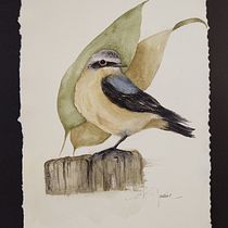 Meu projeto do curso: Aquarela naturalista com expressão e personalidade. Traditional illustration, Watercolor Painting, and Naturalistic Illustration project by Marlise Alves - 01.11.2022