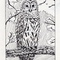 My project in Dip Pen and Ink Illustration: Capturing The Natural World course. Sketching, Drawing, Artistic Drawing, Sketchbook, Ink Illustration, and Naturalistic Illustration project by Rommel John Panal - 01.11.2022
