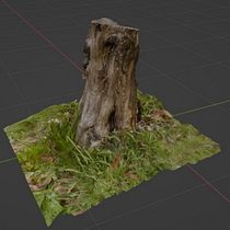 Tocón de arbol Ein Projekt aus dem Bereich 3D, 3-D-Modellierung, Videospiele, 3-D-Design und Design für Videospiele von Francisco Erenas Rivas - 22.01.2022