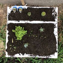 My project in Design and Creation of Botanical Compositions course. Een project van Interieurontwerp, L, scaping,  Interieurdecoratie, DIY y Bloem- en plantenschikken van Aria-Joshes Waterford - 10.01.2022