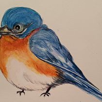 My project in Artistic Watercolor Techniques for Illustrating Birds course. Traditional illustration, Watercolor Painting, Realistic Drawing, and Naturalistic Illustration project by Judy Struck - 01.12.2022