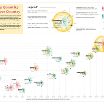 Meat Supply Quantity and Annual Production by Country. Un progetto di Design dell’informazione, Design interattivo e Infografica di Jacqueline Day - 12.01.2021
