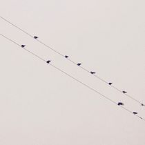 Meu projeto do curso: Fotografia minimalista para Instagram. Photograph, Photographic Composition, Digital Photograph, Outdoor Photograph, Documentar, and Photograph project by Michelle Nannini - 01.12.2022