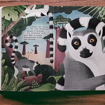 Sonya Hammond - Wildlife Illustration for Children's Books. Un progetto di Illustrazione vettoriale, Illustrazione digitale e Illustrazione infantile di Sonya Hammond - 12.01.2022