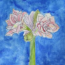 Mein Kursprojekt: Botanisches Zeichenheft: ein meditativer Ansatz. Ilustração tradicional, Esboçado, Desenho, Pintura em aquarela, Ilustração botânica, e Sketchbook projeto de agneshammerstein - 13.01.2022