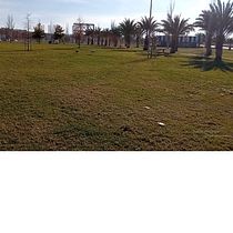 Mi Proyecto del curso: Duelo en el parque. Writing, Creativit, Stor, telling, Narrative, and Creative Writing project by cafeinomanadelosrizos - 01.14.2022