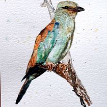 My project in Artistic Watercolor Techniques for Illustrating Birds course. Watercolor Painting project by Celia Opperman - 01.13.2022