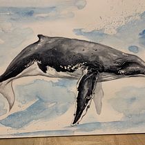 My project in Naturalist Illustration Techniques: Whales in Watercolor course. Un proyecto de Ilustración tradicional, Diseño de carteles, Ilustración digital y Manga de Lemaitre Christine - 14.01.2022