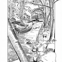 My project in Dip Pen and Ink Illustration: Capturing The Natural World course. Sketching, Drawing, Artistic Drawing, Sketchbook, Ink Illustration, and Naturalistic Illustration project by kristofluysmans - 01.15.2022
