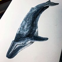 Mi Proyecto del curso: Técnicas de ilustración naturalista: ballenas en acuarela. Un proyecto de Ilustración tradicional, Diseño de carteles, Ilustración digital y Manga de Angelo Ballerines - 16.01.2022