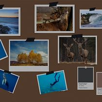 My project in Fantastical Photomontage and Illustrations in Photoshop course. Photograph, Collage, Photo Retouching, Digital Illustration, Photographic Composition, and Photomontage project by Adam Timlin - 01.14.2022