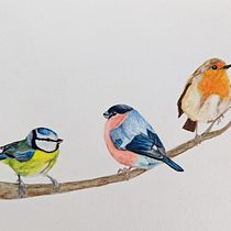 My project in Artistic Watercolor Techniques for Illustrating Birds course. Traditional illustration, Watercolor Painting, Realistic Drawing, and Naturalistic Illustration project by Lauren Owen - 01.16.2022