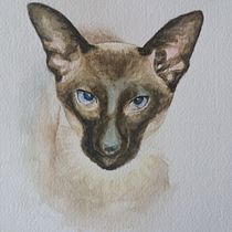 Java The Cat. Un projet de Aquarelle , et Dessin réaliste de Sally Webb - 10.01.2022