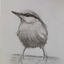 Mijn project van de cursus: Vogels illustreren met artistieke aquarel. Traditional illustration, Watercolor Painting, Realistic Drawing, and Naturalistic Illustration project by Berta van der Meer - 01.17.2022