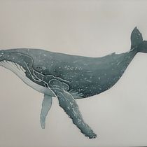 My project in Naturalist Illustration Techniques: Whales in Watercolor course. Un proyecto de Ilustración tradicional, Diseño de carteles, Ilustración digital y Manga de Nancy Mann - 17.01.2022