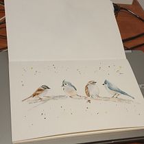 Mijn project van de cursus: Vogels illustreren met artistieke aquarel. Traditional illustration, Watercolor Painting, Realistic Drawing, and Naturalistic Illustration project by Nicolette van Eenige - 01.14.2022