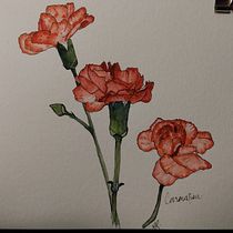 My project in Botanical Sketchbooking: A Meditative Approach course. Ilustração tradicional, Esboçado, Desenho, Pintura em aquarela, Ilustração botânica, e Sketchbook projeto de jaustengurl - 12.01.2022