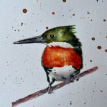 Mi Proyecto del curso: Acuarela artística para ilustración de aves. Traditional illustration, Watercolor Painting, Realistic Drawing, and Naturalistic Illustration project by Graciela Carpintero - 01.18.2022