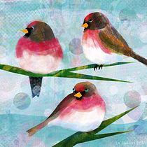 Impatient Redpolls. Traditional illustration, and Digital Illustration project by Liz Saunders - 01.18.2022