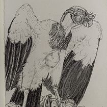 Mi Proyecto del curso: Ilustración naturalista con bolígrafo. Projekt z dziedziny Trad, c, jna ilustracja,  R, sunek, R, sunek realist, czn, Ilustracja naturalist i czna użytkownika Sixto Angulo - 19.01.2022