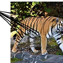 Mon projet du cours : Photomontage et illustrations fantastiques sur Photoshop. Photograph, Collage, Photo Retouching, Digital Illustration, Photographic Composition, and Photomontage project by cassel - 01.19.2022