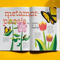 My project in Informative Illustration: Awakening Curiosity course :). Traditional illustration, Fine Arts, Graphic Design, Creativit, and Digital Illustration project by maja k - 01.15.2022
